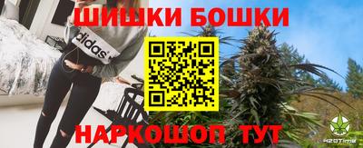 молекула духа Камышлов