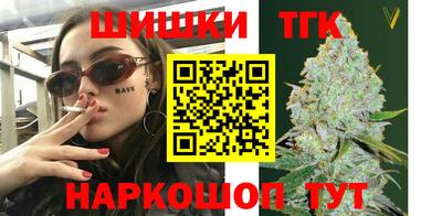 молекула духа Камышлов