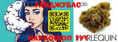 молекула духа Камышлов