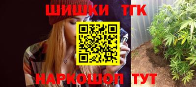 молекула духа Камышлов