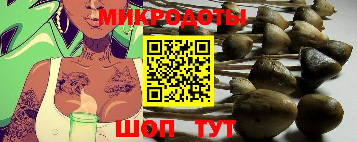 где купить наркоту  Псилоцибиновые грибы MAGIC MUSHROOMS  Вход с VPN  Куйбышев 